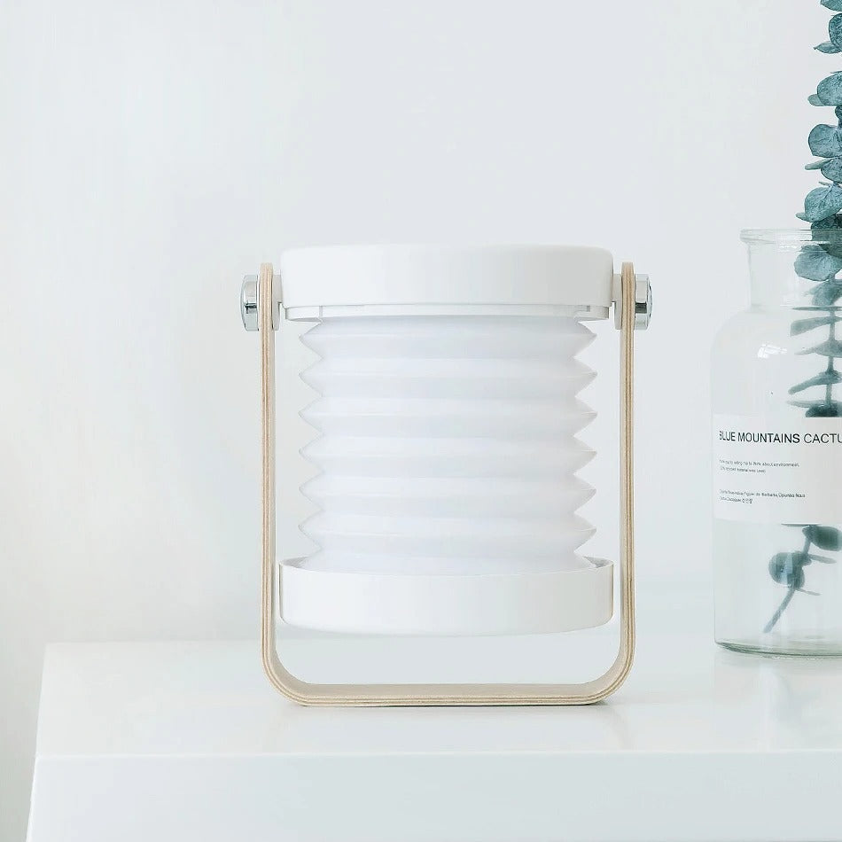 FLEXIA: The lamp that folds to your desires